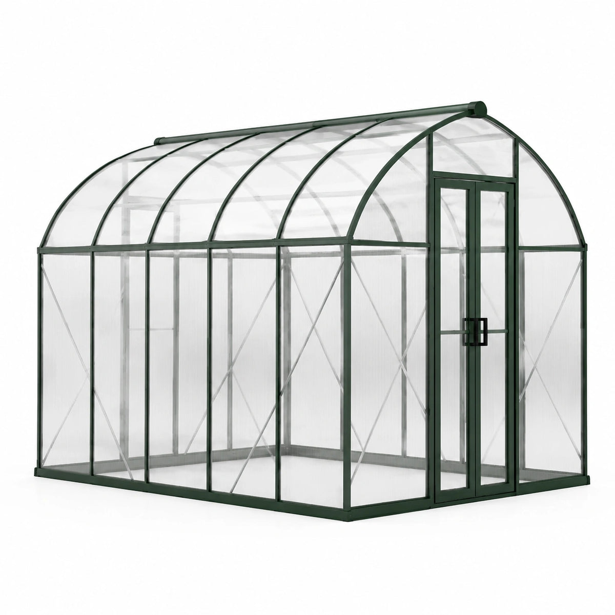 Serre de jardin en aluminium avec panneaux de polycarbonate transparent 250x190x195 cm