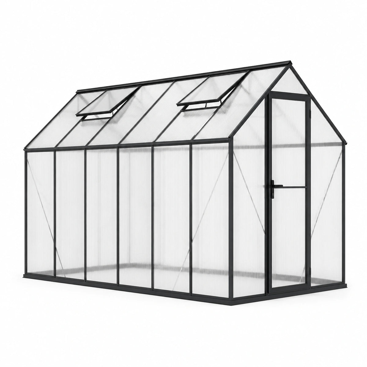 Serre en aluminium noir avec panneaux de polycarbonate transparent